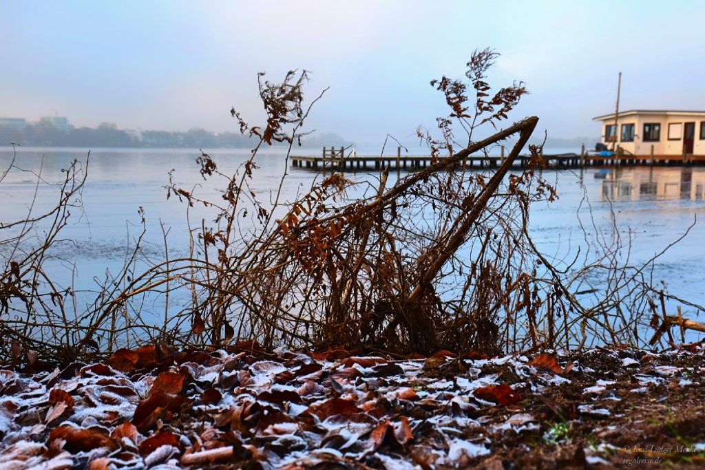 Gefrorene Blätter an der Hamburger Alster